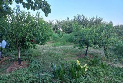 Casă cu 3 camere în Cândești - 2