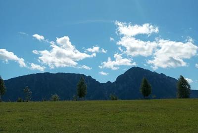 Teren în Poiana Mărului - 1