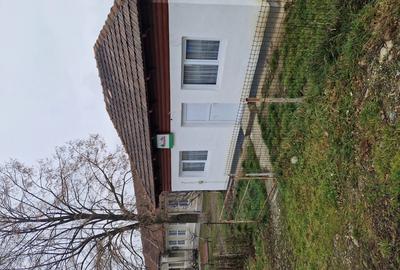 Inchiriez spatiu comercial in com.Alimpesti,Gorj - 2