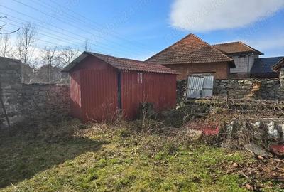 Casă cu 3 camere cu Teren 2500 Mp în Pietroasa - 14