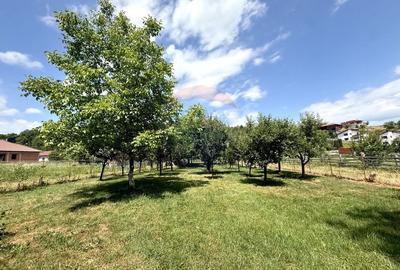 COMISION 0% -Casa cu 3 camere de vanzare in Stolna cu livada, ciubar - 8