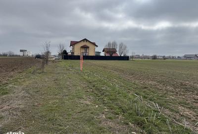 Teren de 1500 mp, în Balotești - 2