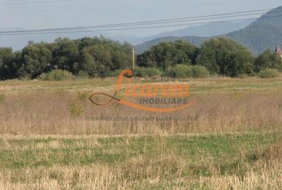 Teren Construcții intravilan de 240000 mp, în Exterior Est - 15