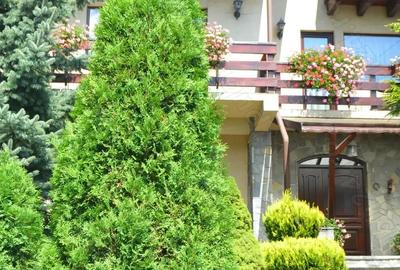 Busteni-Pensiune de vanzare - 3