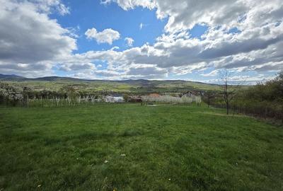 Teren de 5000 mp, în Bârsău - 1