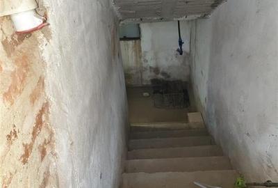 Teren Mare cu 2 case in Biharia. - 33