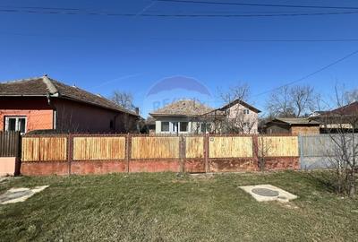 Casă cu 2 camere cu Teren 1192 Mp în Gruiu - 1
