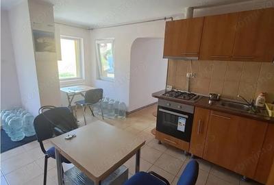 Casa individuala pe parter Sagului-Liviu Rebreanu - 20