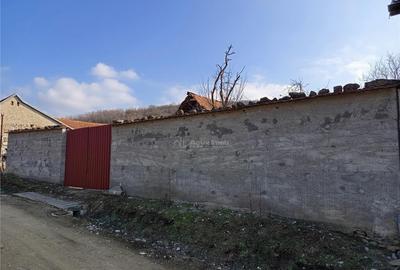 Ciclova, Teren Intravilan, Centru, Pret Negociabil - 2