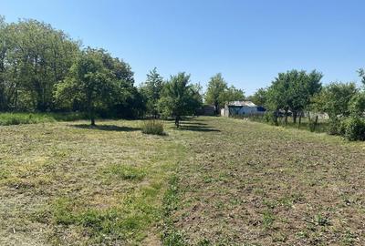 Spațiu comercial, în Sânandrei - 7