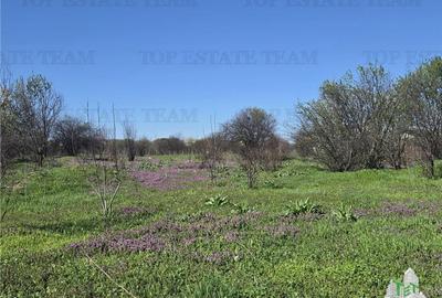 Teren Construcții intravilan de 8500 mp, în Militari - 11