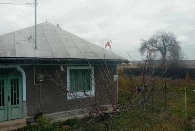 Casă cu 2 camere cu Teren 1000 Mp în Central - 4