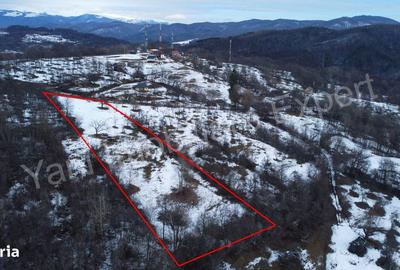 Teren de 4377 mp, în Bradu