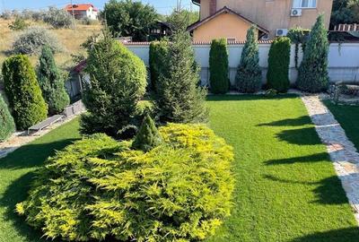 Casa P+M de vanzare in localitatea Mineri Casa P+M de vanzare in localitatea Mineri - 3