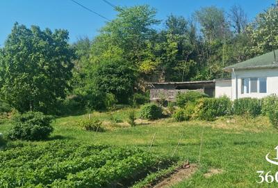 Casă cu 3 camere cu Teren 2400 Mp în Mahmudia - 7