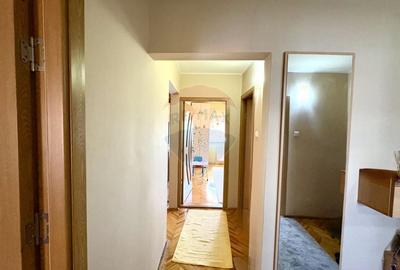 Apartament cu 3 camere decomandat, mobilat în Micălaca - 14