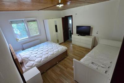 Casa de vacanta cu 2 apart. independente (8 camere) in Poiana Tapului - 5