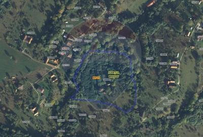 Teren Construcții intravilan de 24253 mp, în Predeluț - 1