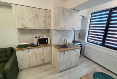 Apartament cu 2 camere decomandat în George Enescu - 6