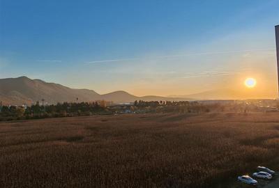 Apartament cu 2 camere decomandat, mobilat în Avantgarden - 17