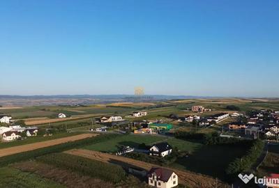 Teren de 8271 mp, în Moara - 3