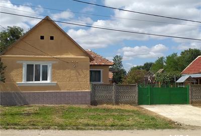 Casă cu 3 camere cu Teren 10000 Mp în Gherteniș - 3