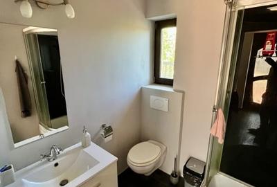 Casa Individuala, Pozitie Excelenta, Comision 0% Casa Individuala, Pozitie Excelenta, Comision 0% - 14