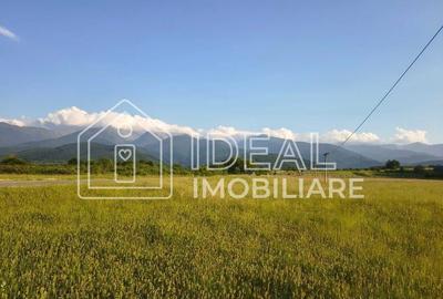 Teren agricol extravilan de 1800 mp, în Cârțișoara - 5
