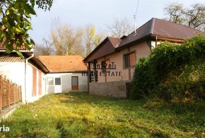 Casă cu 3 camere în Ionești - 5