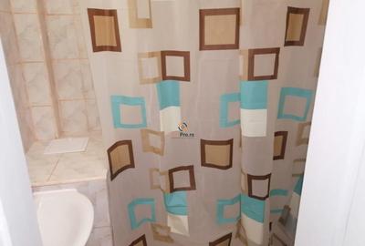 Apartament cu 1 camera recent renovat etaj 1 zona Buziasului - 4