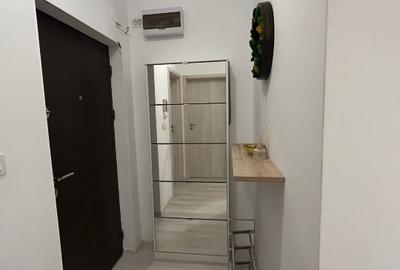 Apartament cu 3 camere decomandat, mobilat în Drumul Taberei - 8