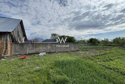 Casă individuală cu 2 camere cu Teren 868 Mp în Arpașu de Sus - 25