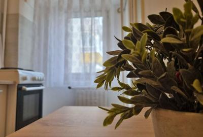 Garsonieră decomandată în Sebastian - 7