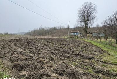 Teren de 2038 mp, în Ghercești - 14