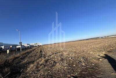 Teren Intravilan | Zona Industriala Vest | 20.663 mp - 4