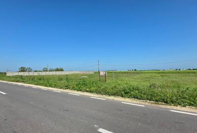 Teren Construcții extravilan de 2000 mp, în Movilița - 2