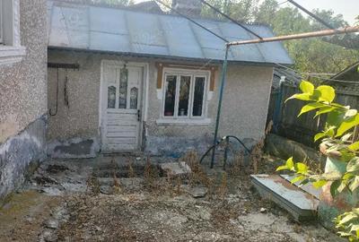 Casă în Livezi - 5