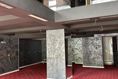 Spațiu comercial, de 227 mp, în Decebal