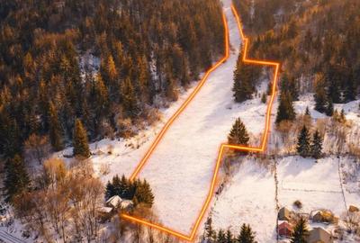 Teren de 7800 mp, în Lunca - 1