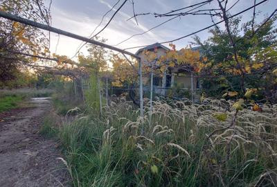 Spațiu comercial, în Cerbu - 6