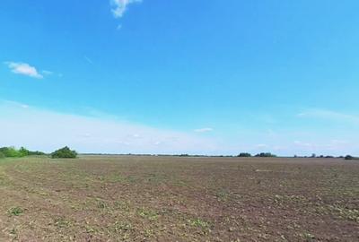 Teren intravilan de 9850 mp, în Nord - 4