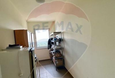 Oportunitate vie 54 ha la DN E85 - 12