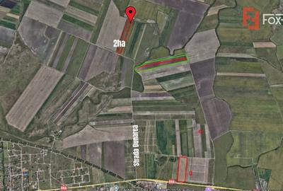 COMISION 0% Teren extravilan agricol, Sacalaz - 20.000 mp COMISION 0% Teren extravilan agricol, Sacalaz - 20.000 mp - 3