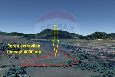 Teren extravilan, faneata, 4000 mp, Tarlungeni - 6