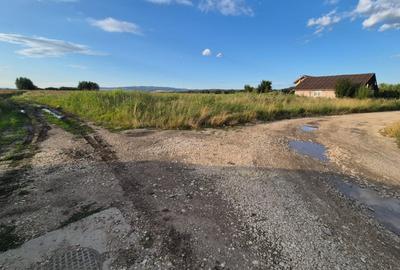 Teren 10.000 mp str. Lalelelor, Bod, Brasov pentru case - 4