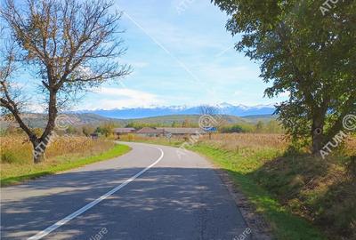 Teren de 461 mp, în Daia