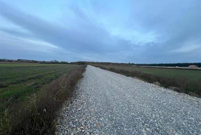 Teren frumos Cihei 500 mp Teren frumos Cihei 500 mp - 4