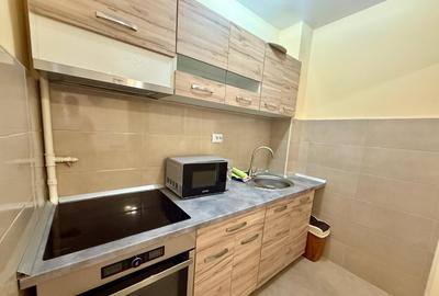 AA/1447 De inchiriat apartament cu 1 camera in Tg Mure?-Aleea Carpa?i - 10