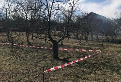 Teren Construcții intravilan de 715 mp, în Olănești - 3