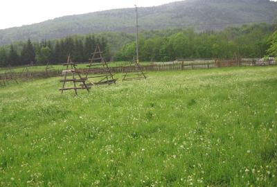 Teren intravilan situat in Traiteni,Valea Doftanei - 2